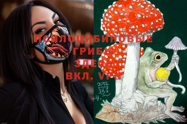 марки nbome Козловка
