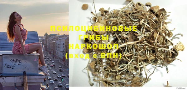MDMA Premium VHQ Козельск