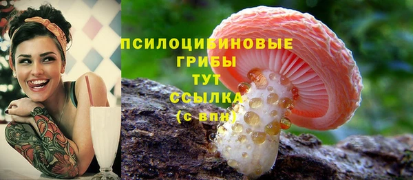 MDMA Premium VHQ Козельск