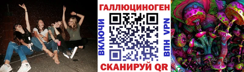 Галлюциногенные грибы GOLDEN TEACHER  Купить  Медногорск 
